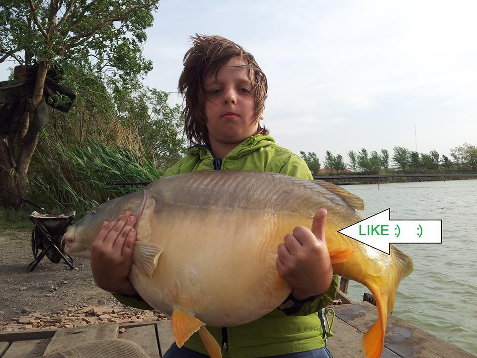 foto bune. - 13834354193721448289872009503n.jpg